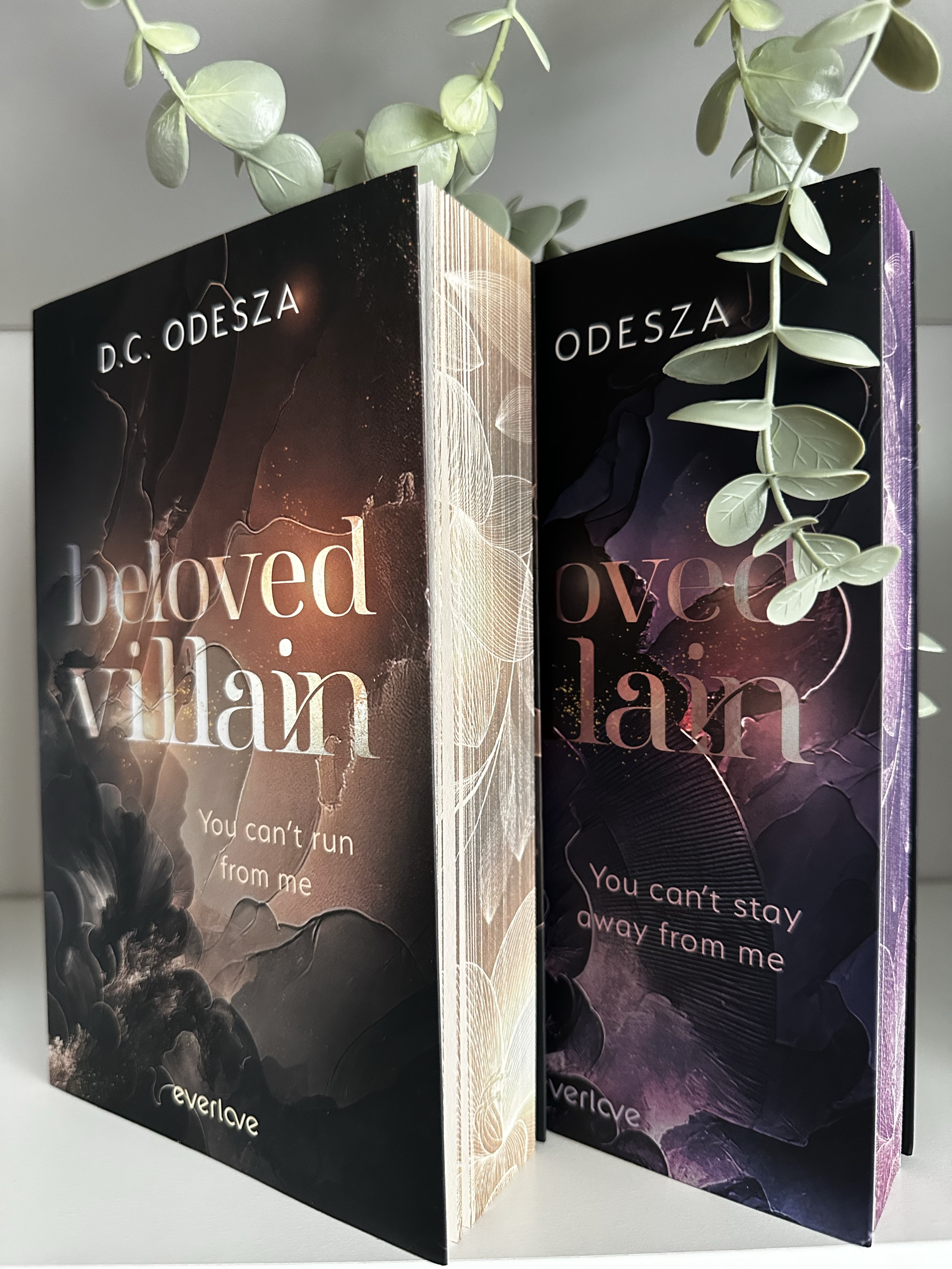 Beloved Villain Cover
