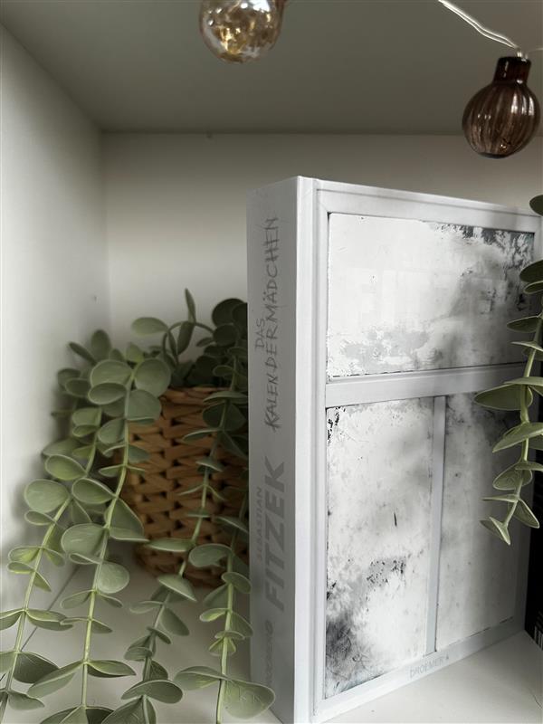 Das Kalendermädchen Cover