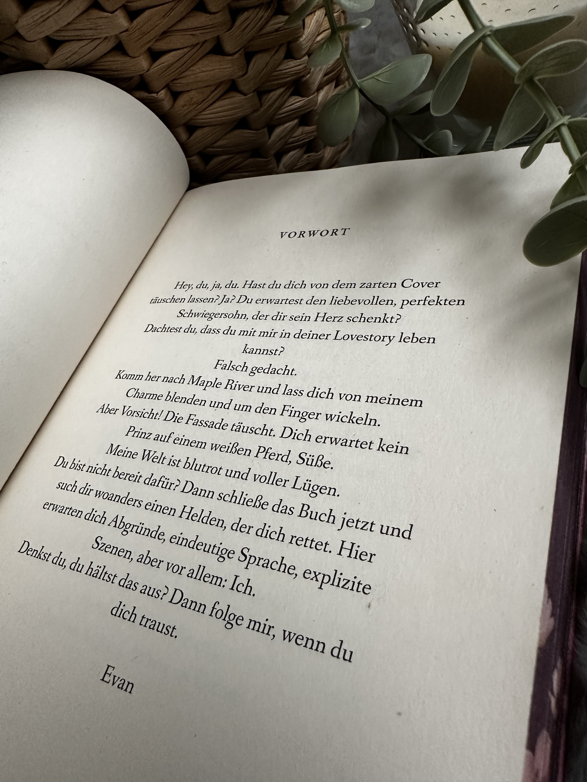 Lie to me softly Vorwort